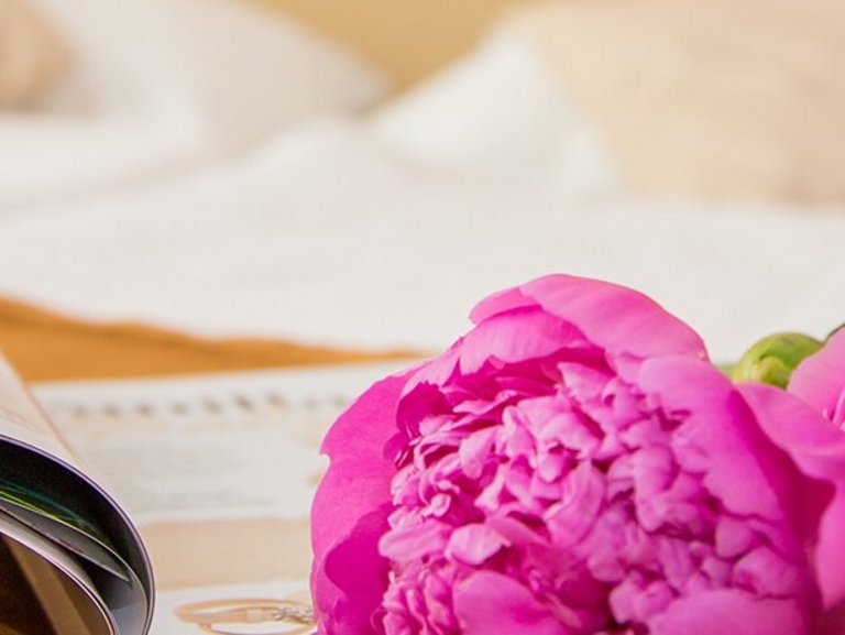 Hotel Admiral am Kurpark, Baden bei Wien Hotel Admiral am Kurpark, Baden bei Wien